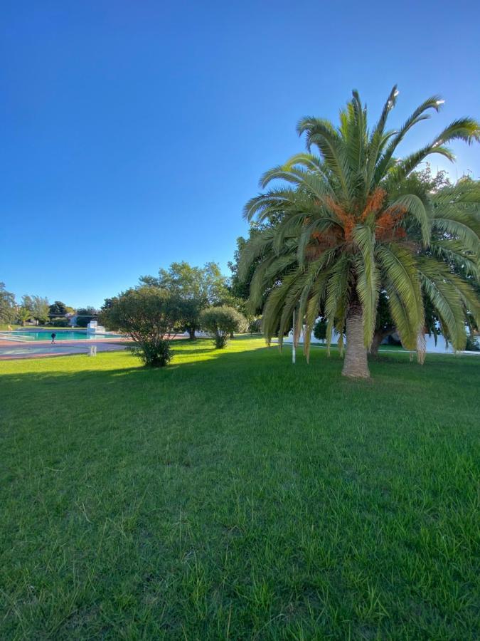 New Algarvegas Paradise Apartment Αλμπουφέιρα Εξωτερικό φωτογραφία
