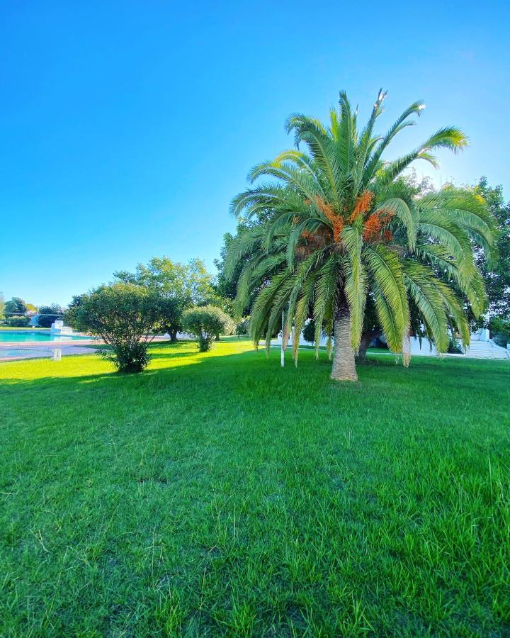 New Algarvegas Paradise Apartment Αλμπουφέιρα Εξωτερικό φωτογραφία
