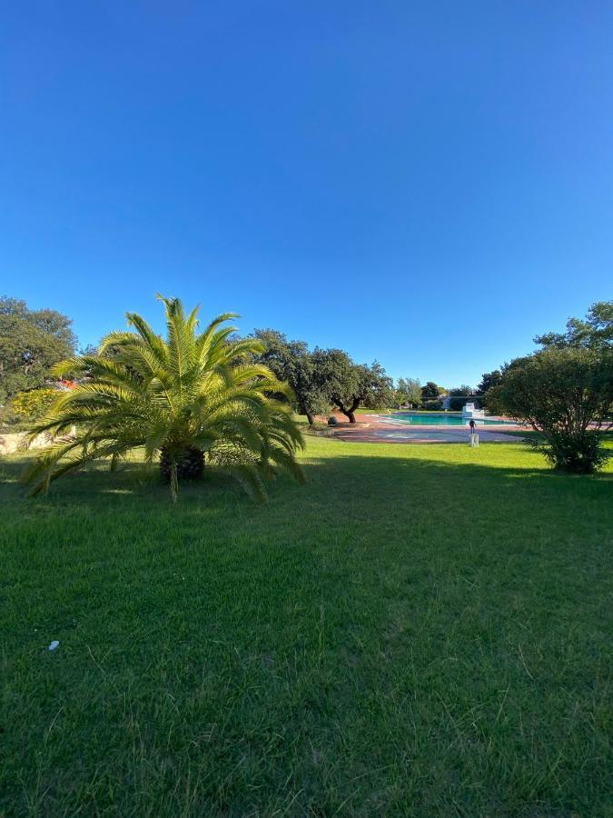 New Algarvegas Paradise Apartment Αλμπουφέιρα Εξωτερικό φωτογραφία